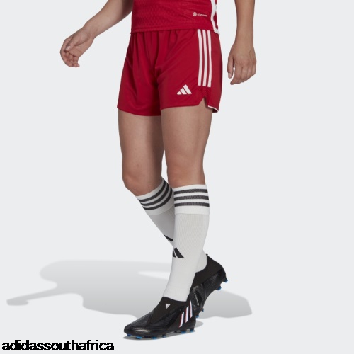 Tiro 23 League Shorts Red Adidas Adidas South Africa