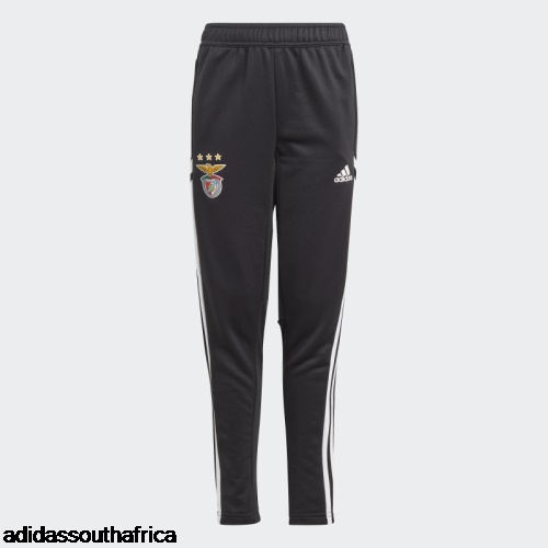 Stylish Benfica Condivo Training Pants Black Adidas South Africa