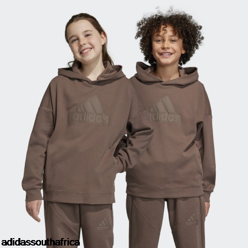 Earth Future Icons Logo Hooded Sweatshirt Adidas South Africa