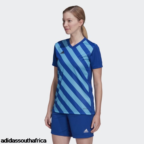 Royal Blue Entrada 22 Graphic Jersey Adidas South Africa