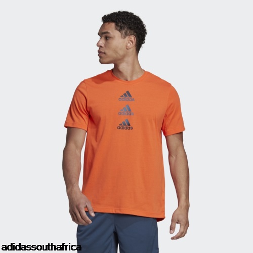 Designed to Move Logo Tee Orange Adidas South Africa