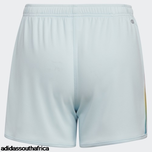 Blue Gradient Stripe Mesh Shorts (Extended Size) Adidas Adidas South Africa