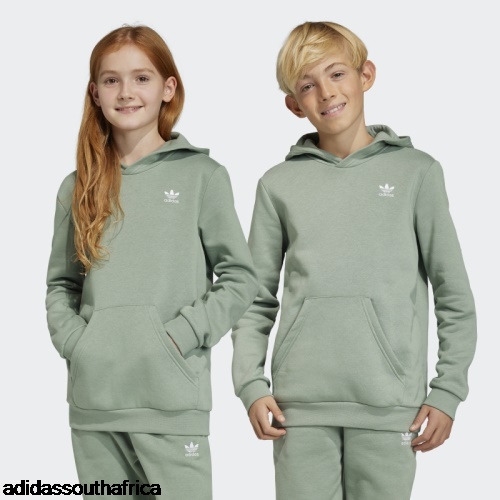 Silver Green Adicolor Hoodie Adidas Adidas South Africa