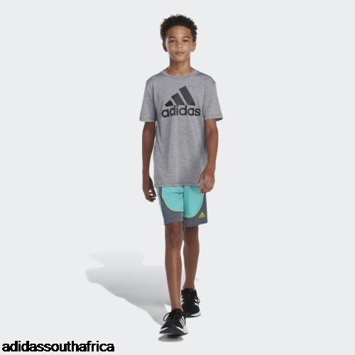 Creator Shorts Mint Rush Adidas South Africa