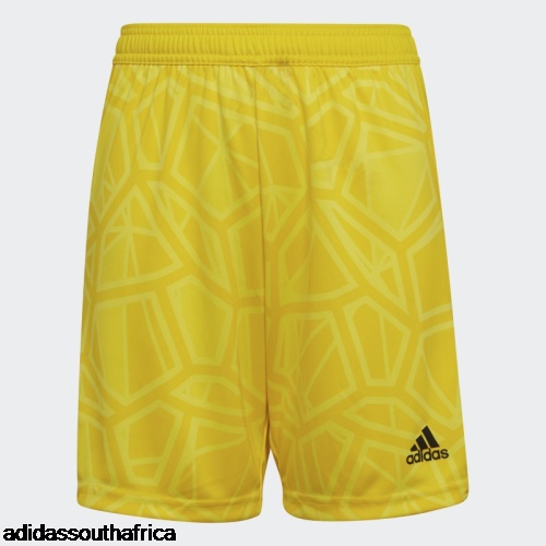 Condivo 22 Goalkeeper Shorts Yellow Adidas Adidas South Africa