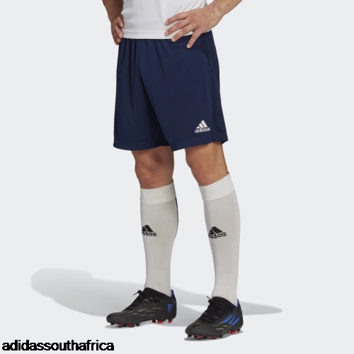 Entrada 22 Training Shorts Navy Blue Adidas South Africa