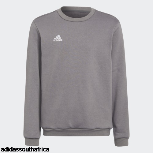 Grey Entrada 22 Sweatshirt Adidas Adidas South Africa