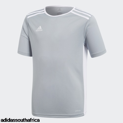 Light Grey Entrada Jersey Adidas Adidas South Africa