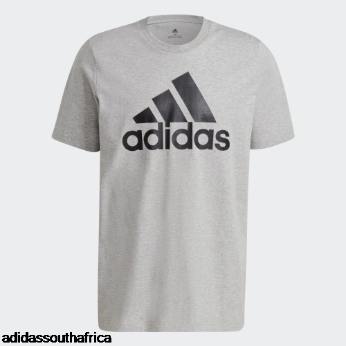 ESSENTIALS BIG LOGO TEE Medium Grey Adidas South Africa