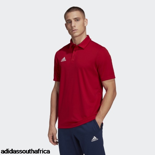 Entrada 22 Polo Shirt Red Adidas South Africa