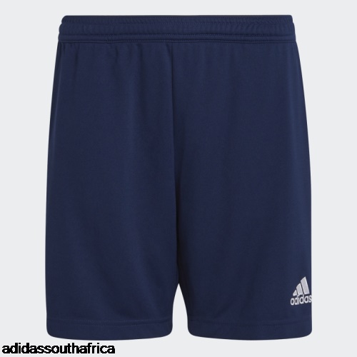 Entrada 22 Training Shorts Navy Blue Adidas Adidas South Africa